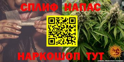 ешки Обнинск